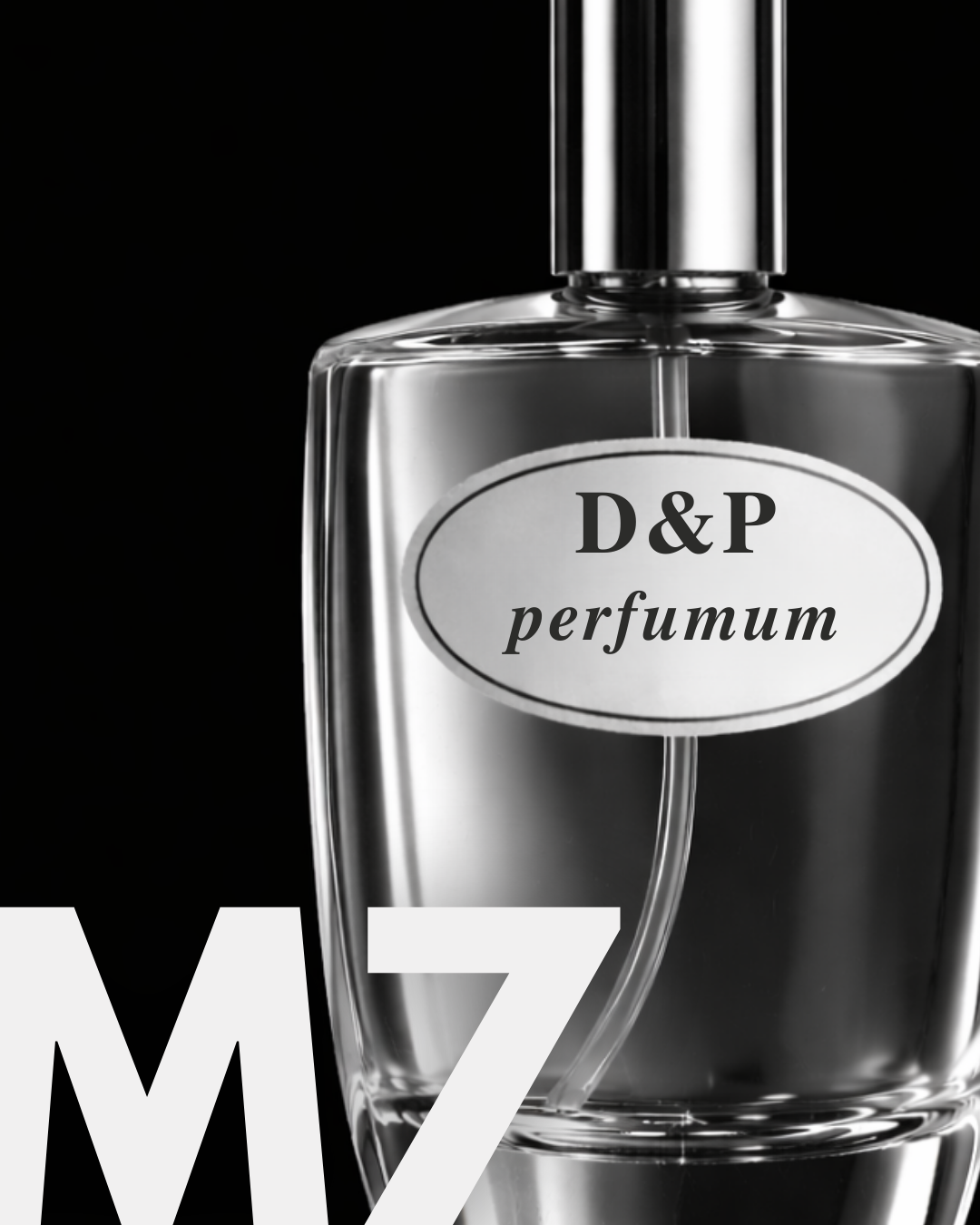 M7 CALM & COY