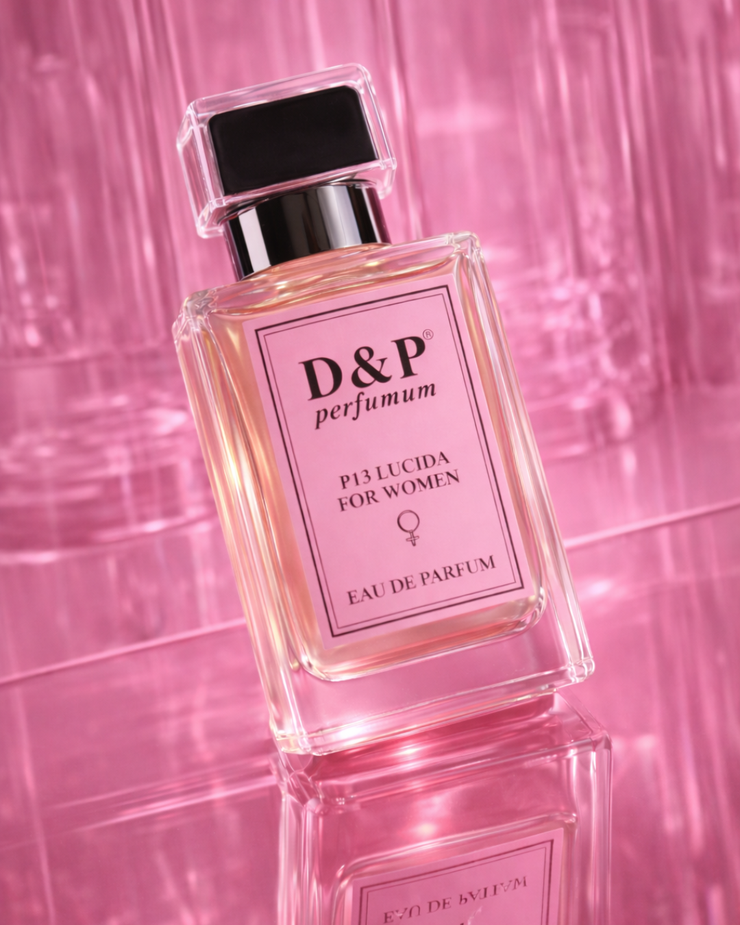 SPECIAL SERIES P-13 LUCIDA