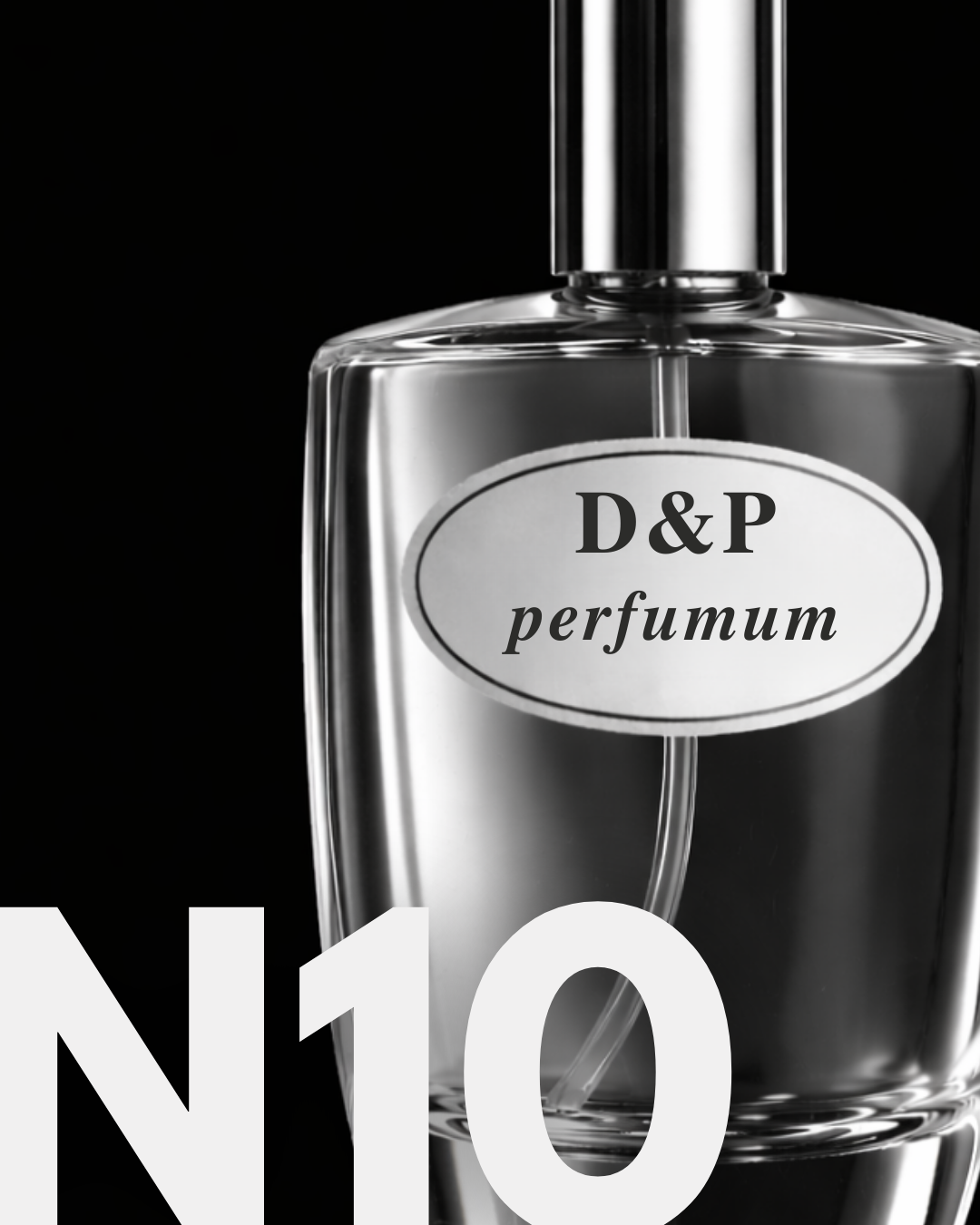 N10 PARDISLADN
