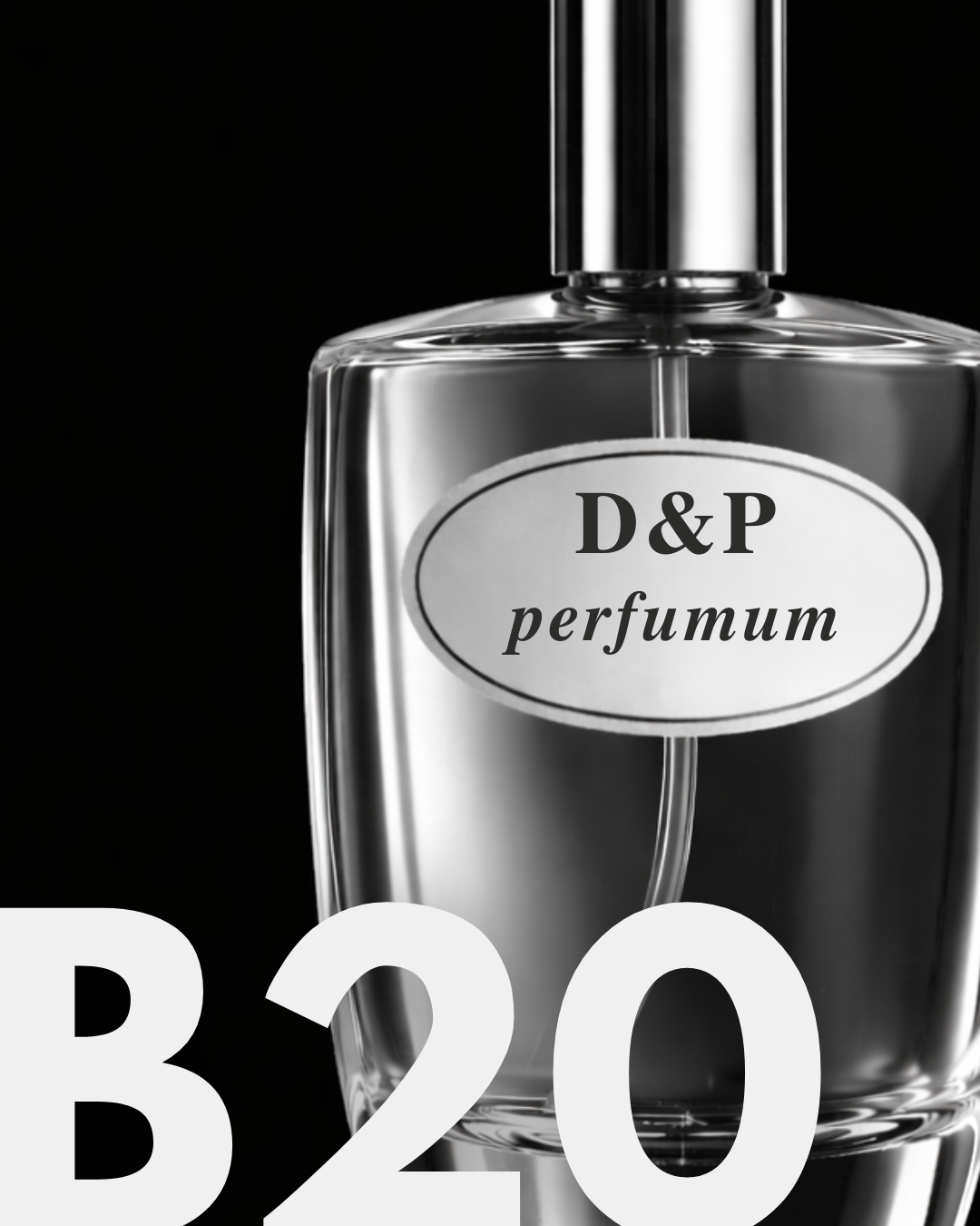 B20 SWARTY LILY
