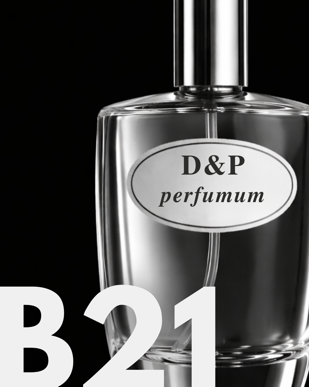 B21 BODY BEAUTIFUL