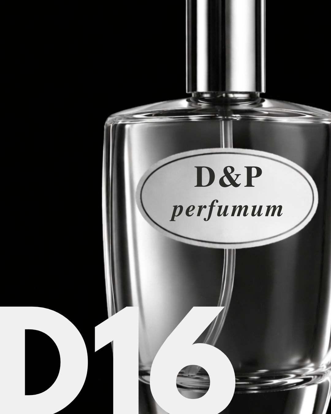 D16 DANTE